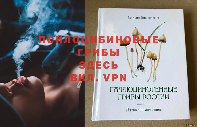 Псилоцибиновые грибы GOLDEN TEACHER  где найти   Воткинск 